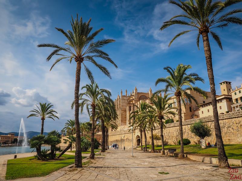 Tennisbild Tennisresa Palma